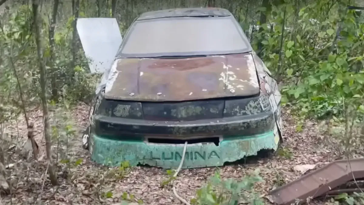 A forest harbors decaying race cars from the days of thunder