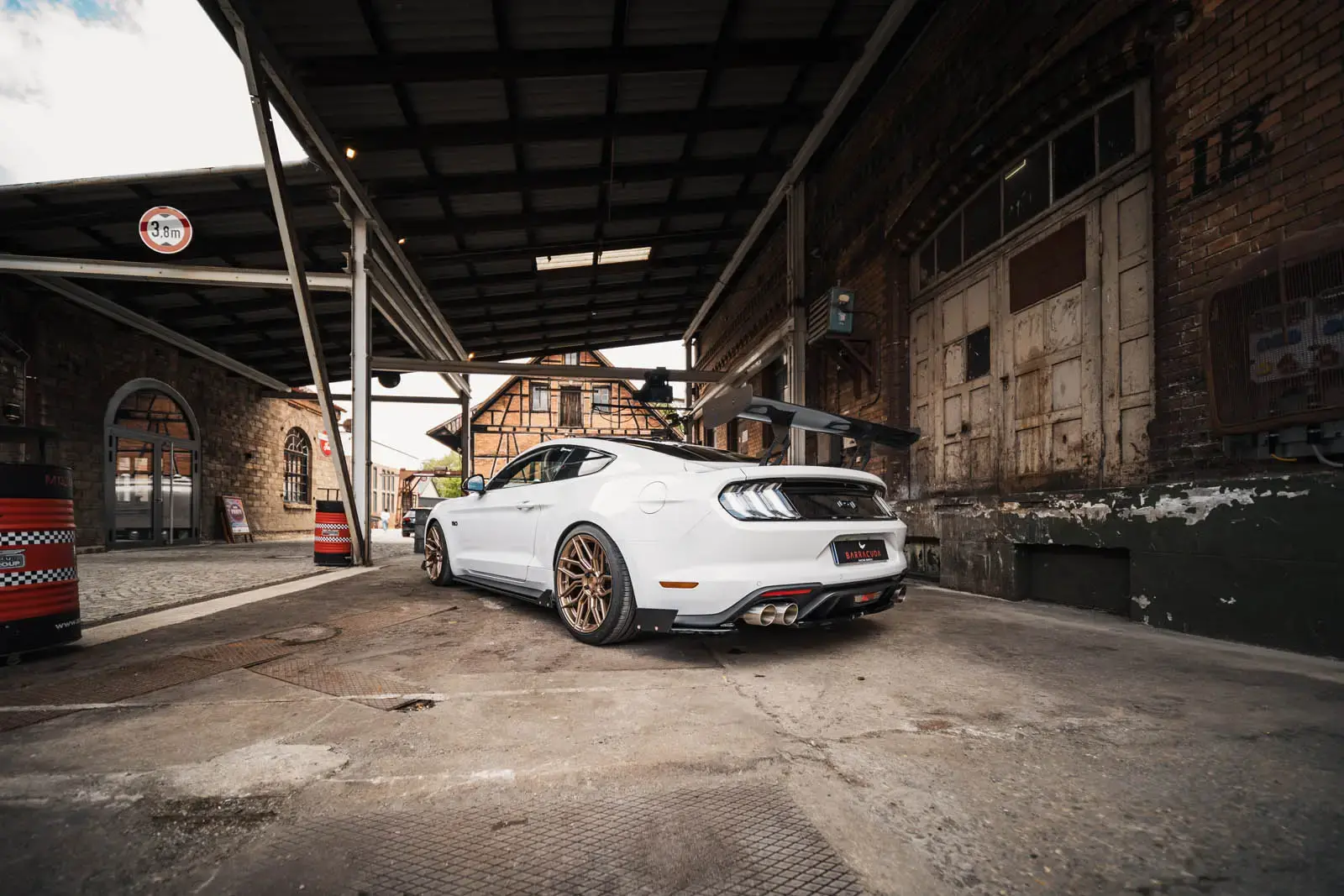 Barracuda dragoon mustang 016