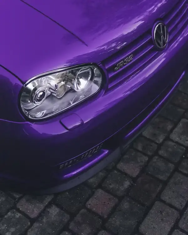 Paint with a wax or sealant
