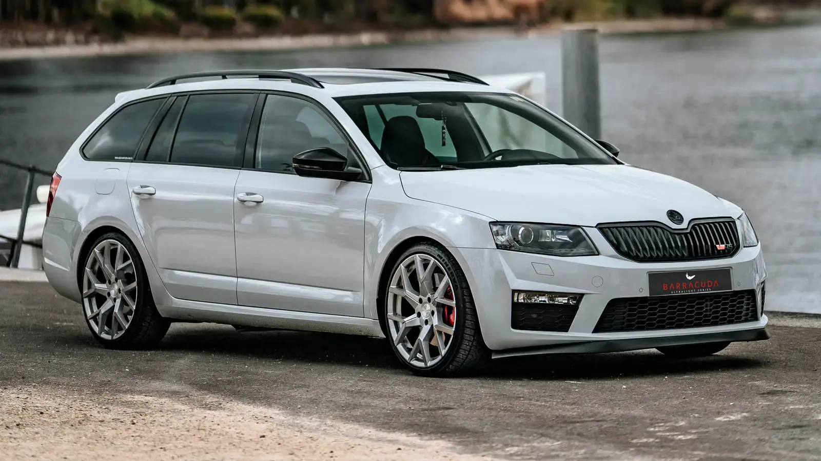 Skoda oktavia rs barracuda tzunamee evo silver brush 01